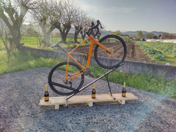 Muscolar Special Bicycle
